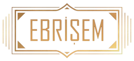 EBRISEM Logo